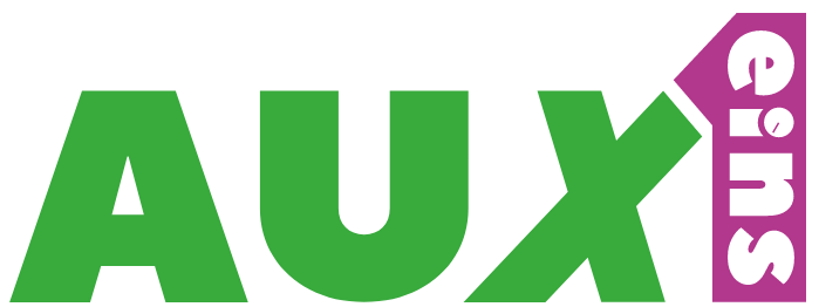 VDT AUXeins logo