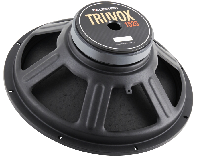 Celestion Truvox 1525 angled back